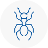 Ant Removals In Swanage