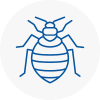 Bed Bug Extermination In Swanage