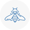 Bee Nest Removal Swanage
