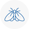 Moth Control Specialists In Swanage